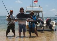 トローリング・フィッシング