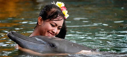 ドルフィンロッジ