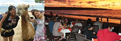 バリ・キャメル・サファリ