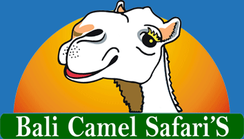 バリ・キャメル・サファリ