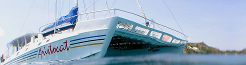 シーウォーカー