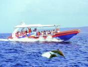 バリハイ クルーズ