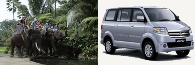 【お得なパッケージ】 エレファントライド+6時間車チャーター