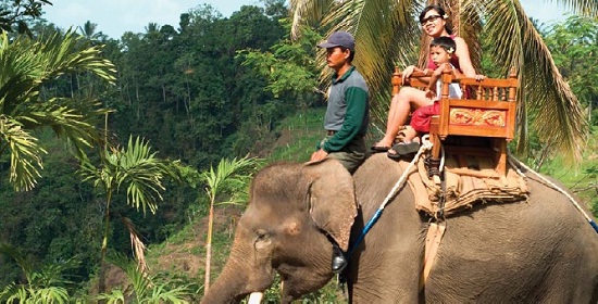 エレファント・キャンプ